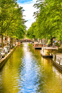 Canal amidst trees in city