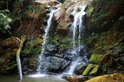 View of waterfall in forest