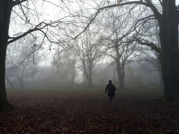 Rear view of man walking on land during foggy weather