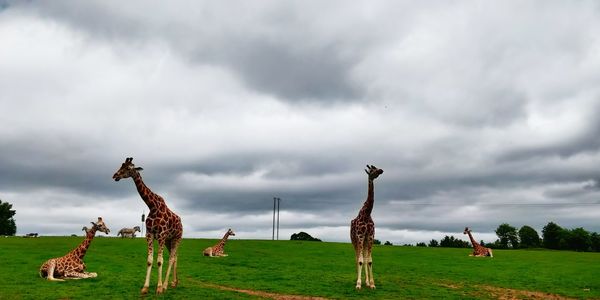 Group of people on field against sky