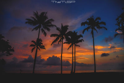 Silhouette palm trees on beach against sky at sunset