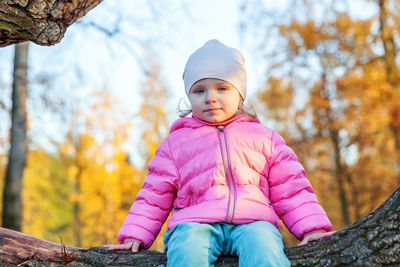 Portrait of boy sitting on tree