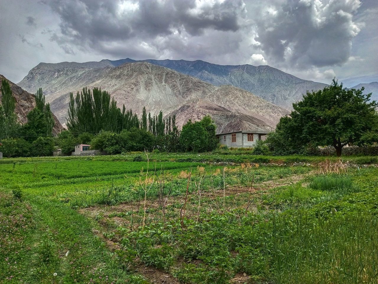 mountain, plant, landscape, cloud, environment, sky, land, scenics - nature, nature, valley, mountain range, tree, rural area, meadow, beauty in nature, field, architecture, grass, building, highland, rural scene, flower, plateau, no people, agriculture, green, built structure, house, grassland, growth, building exterior, travel destinations, outdoors, pasture, plain, travel, tranquility, wilderness, farm, crop, overcast, village, tranquil scene