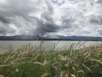 Scenic view of land against sky