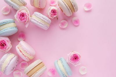 Tasty macaroons with beautiful roses on a pink background