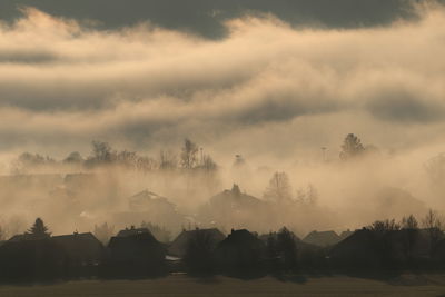 Mystery scenery in the uprising foggy day 