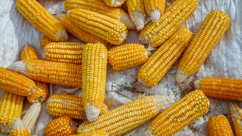 High angle view of yellow vegetables