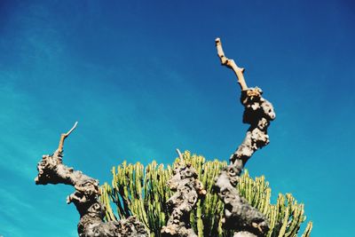 Low angle view of angel against clear blue sky