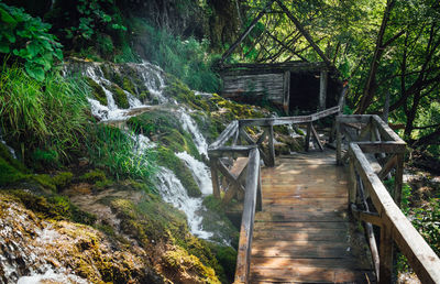 Footbridge over stream amidst trees in forest