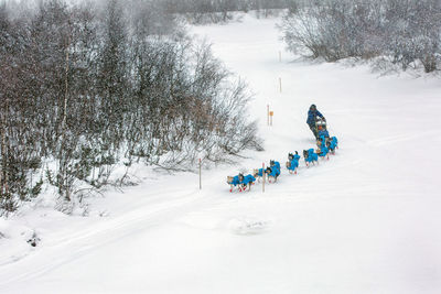 People skiing on snow covered field