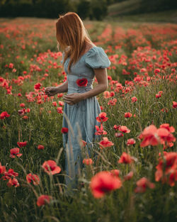 Woman with red hair in a poppies field