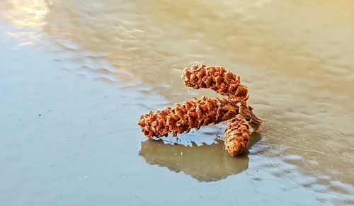 Rocks in water