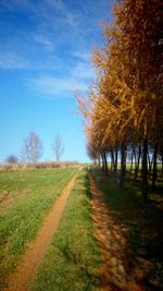 Dirt road passing through field