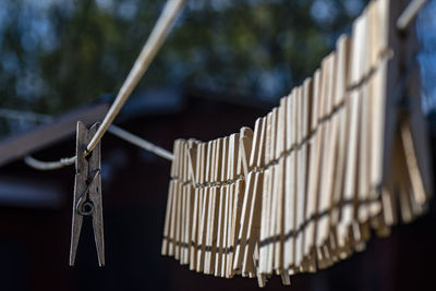 Clothespins hanging on the clothesline and waiting for the laundry to be hung up.