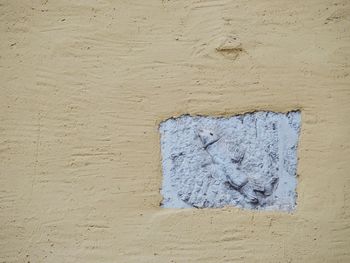white color