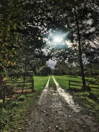 Footpath amidst trees