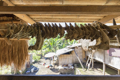 Clothes hanging on roof