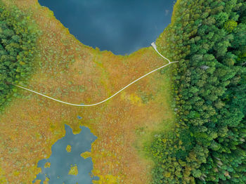 Scenic view of yellow plants and trees against sky