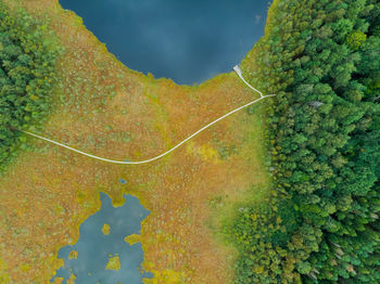 Scenic view of yellow landscape over sea against sky