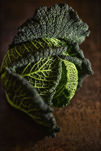 High angle view of vegetables on table