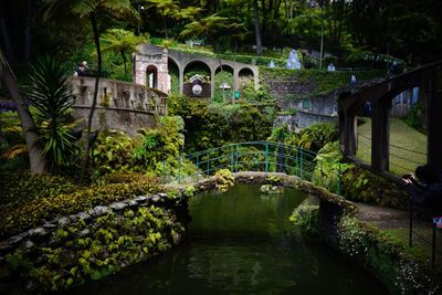 Arch bridge over pond against trees