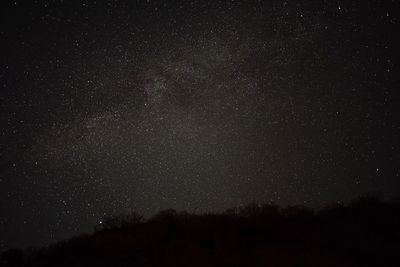 Low angle view of starry sky