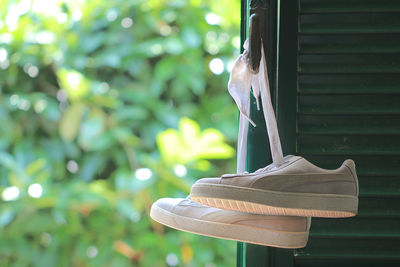 Close-up of chair against plants in yard