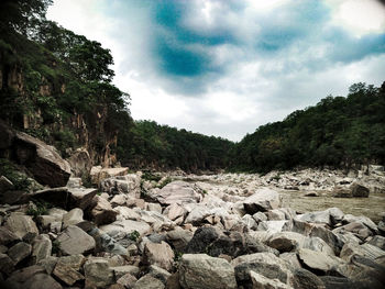 Rocks and trees in forest against sky