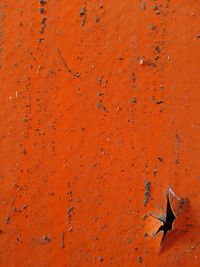 Orange steel wall