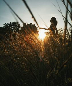 People on field at sunset