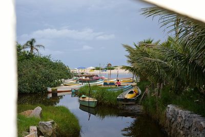 Scenic view of river amidst trees against sky