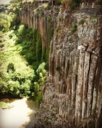 View of trees on cliff