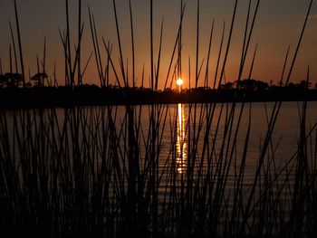 Silhouette plants by lake against romantic sky at sunset