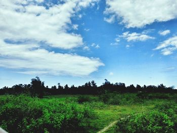 Scenic view of grassy field against cloudy sky