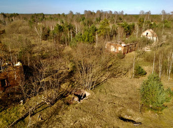 High angle view of trees on field