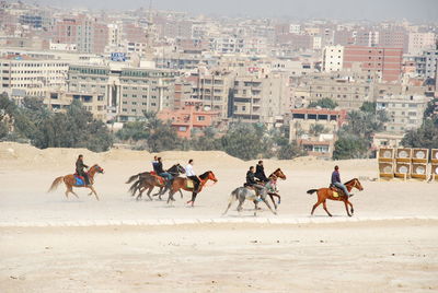 Men riding horses in front of city buildings
