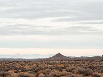 Scenic view of desert against sky