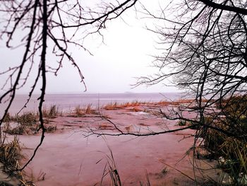 Scenic view of lake against sky during winter