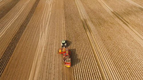 Farm machinery harvesting potatoes. farmer field with a potato crop.