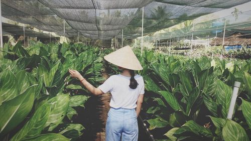 Rear view of woman standing in greenhouse
