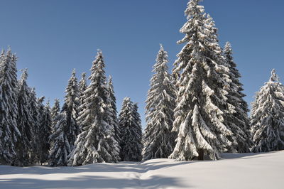 Low angle view of snow covered landscape against clear sky