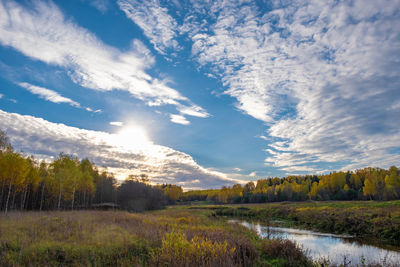 Scenic view of field against sky