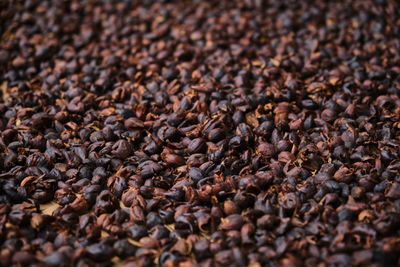 Full frame shot of coffee beans