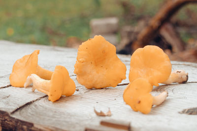 Close-up of orange on table