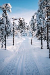 Snow covered field against sky