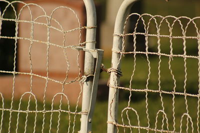 Close-up of barbed wire