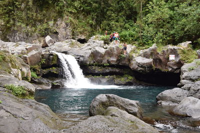 Scenic view of waterfall in forest