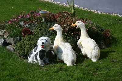 High angle view on geese by dog statue on field at park