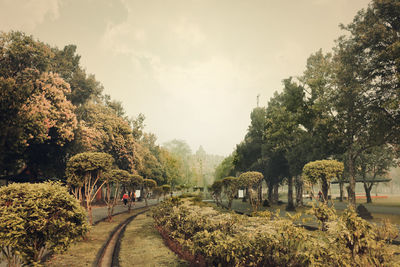 People walking in park against sky