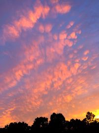 Low angle view of silhouette trees against dramatic sky